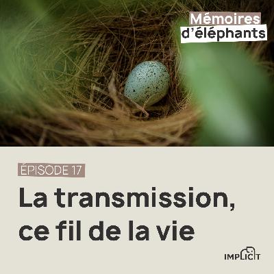 #17 - La transmission, ce fil de la vie