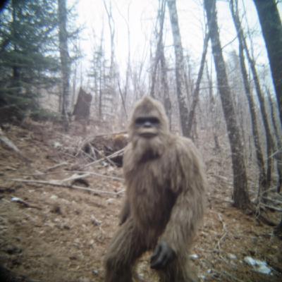 U.S. Navy SEALS SPILLS the BEANS about CREATURES They KILLED In Grand Canyon Mountains