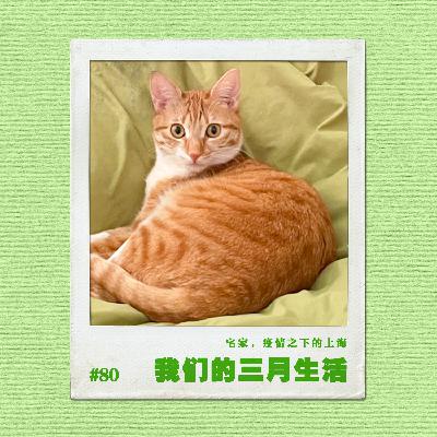vol.80 我们的三月生活实录:宅家,疫情之下的上海 vol.80 我们的三月生活实录:宅家,疫情之下的上海