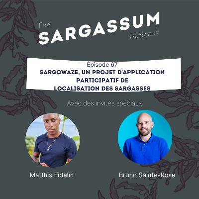 E67 Sargassum podcast avec Sargowaze, un projet d’application participatif de localisation des sargasses