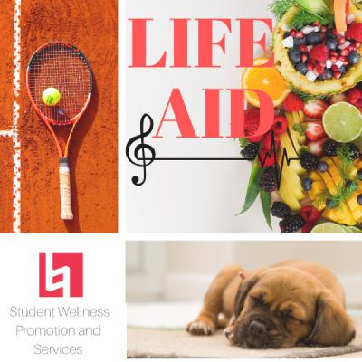 6. Physical Wellness 6. Physical Wellness