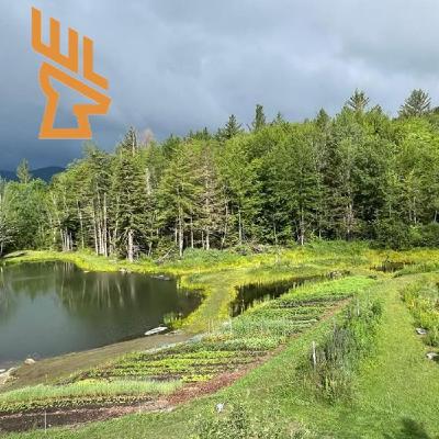 EP215 Healthy Landscapes, Pond Design, High Density Tree Plantings, Wildlife Habitat