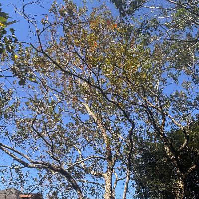 Ep159從日本孤獨死,看我們正在形成的社會結構 Ep159從日本孤獨死,看我們正在形成的社會結構