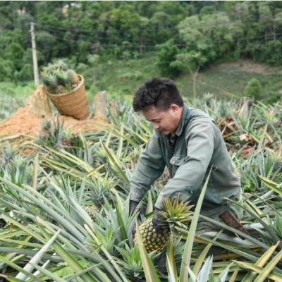 Xã hội chuyển động - Giảm nghèo đa chiều – Đổi thay từ gốc