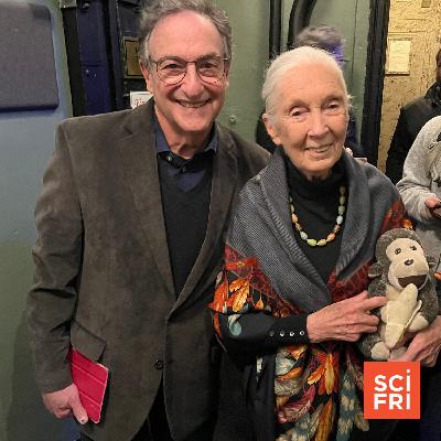 Remembering Primatologist Jane Goodall