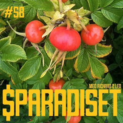 58. The Christer Gardell warning