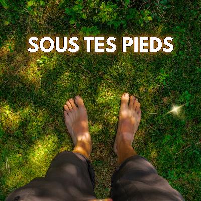 Le réseau invisible sous nos pieds (et il change tout)