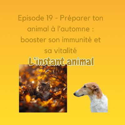 # 19 Préparer ton animal à l’automne : booster son immunité et sa vitalité