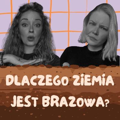 Dlaczego ziemia jest brązowa?