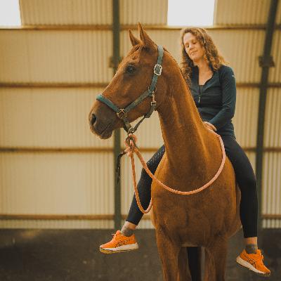 Assouplissement de votre corps, perception, proprioception, pour votre mise en selle