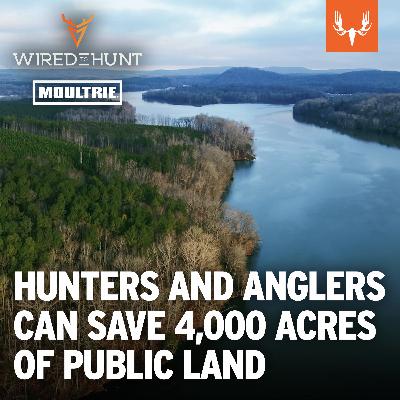 Ep. 1029: How You Can Help Save 4000 Acres of Prime Public Hunting Ground with Travis Morehead Ep. 1029: How You Can Help Save 4000 Acres of Prime Public Hunting Ground with Travis Morehead