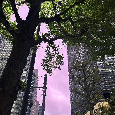 #51.ラブランゲージってしってる？
