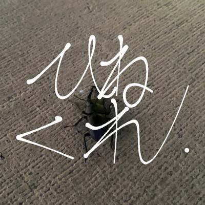 #17 夏とボートレースのはなし