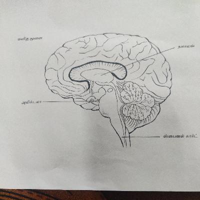 அத்தியாயம் 5 ஒரே ஒரு கணம்