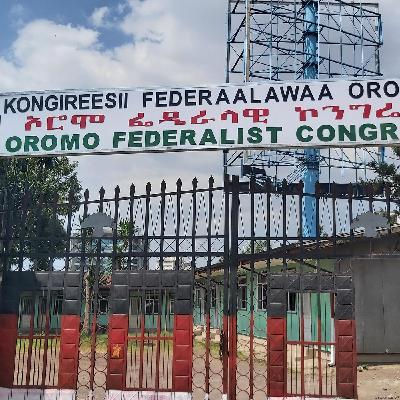 የሕዳር 11 ቀን 2018 የዜና መፅሔት