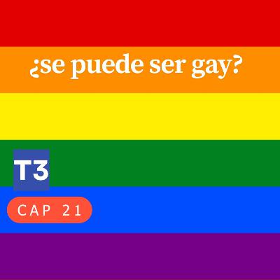 t3 cap 21. ¿Se puede ser gay? #puisss