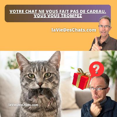 VOTRE CHAT NE VOUS FAIT PAS DE CADEAU. VOUS VOUS TROMPEZ