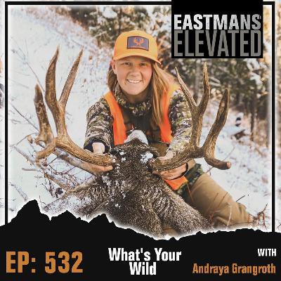 Episode 532: What's Your Wild With Andraya Grangroth Episode 532: What's Your Wild With Andraya Grangroth