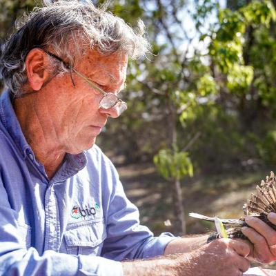 Restoring functional habitat with DR DAVID PATON