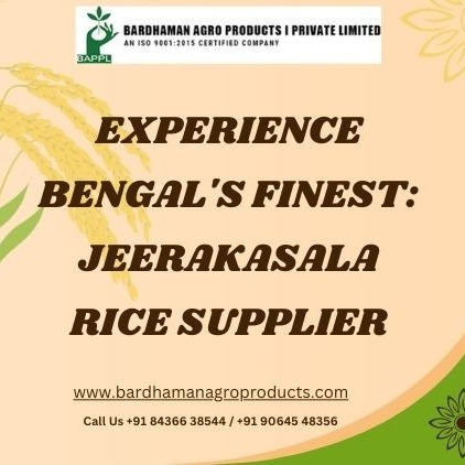 Experience Bengal's Finest Jeerakasala Rice Supplier