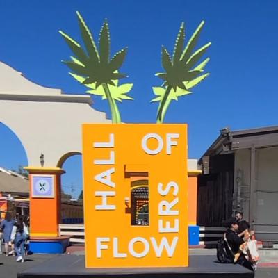 WBTW Presents: LIVE from Hall of Flowers 2024 (Santa Rosa) WBTW Presents: LIVE from Hall of Flowers 2024 (Santa Rosa)