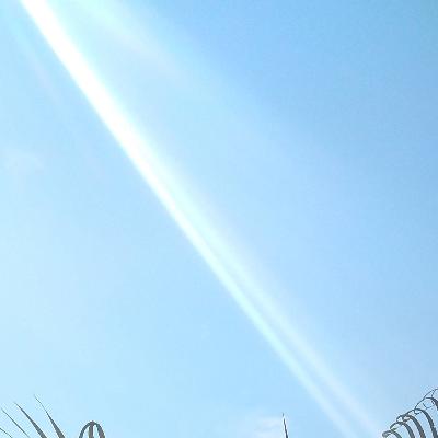 Movimiento Católico Misionero Semana Santa 2020