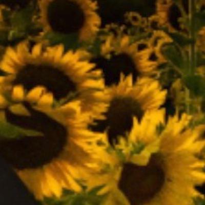 【厳選】デートでモテる質問3選