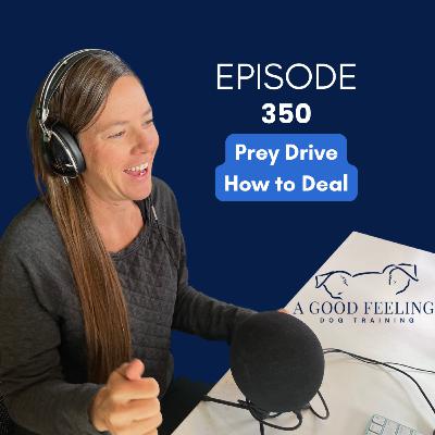 350. Prey Drive, How to Deal