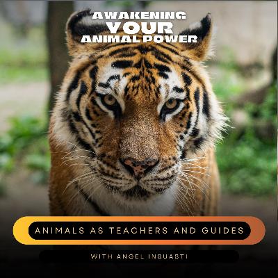 Animals as Teachers and Guides