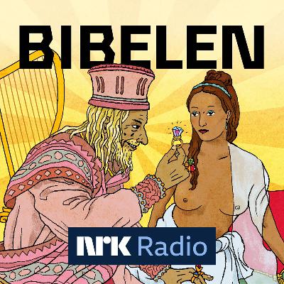 Nye episoder i NRK Radio!