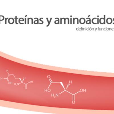 Aminoácidos Y proteinas Aminoácidos Y proteinas