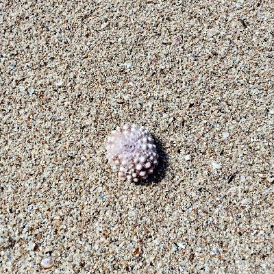 teruntuk kita wanita