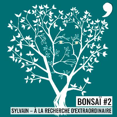 Bonsaï #2 - Sylvain : À la recherche d'extraordinaire
