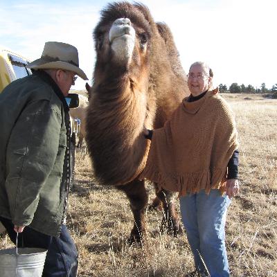 Ellen Pfister and Don Golder - Shepherd, MT