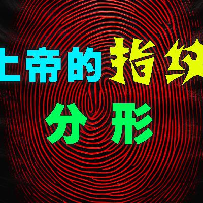 上帝的指纹 分形