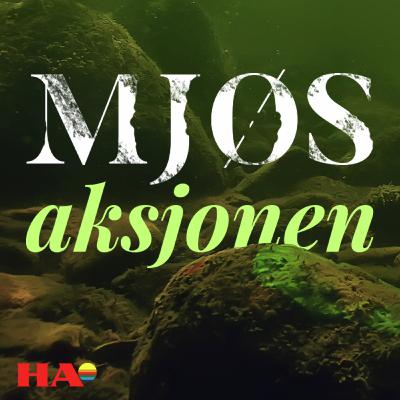 Kommer: Mjøsaksjonen - da Mjøsa var i ferd med å dø Kommer: Mjøsaksjonen - da Mjøsa var i ferd med å dø