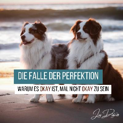 Die Falle der Perfektion - Warum es okay ist, mal nicht okay zu sein