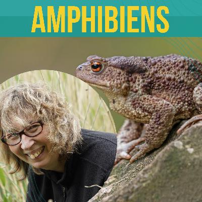 INTERVIEW – À la découverte des amphibiens | Françoise Serre Collet