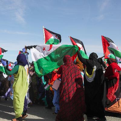 Cinco continentes - El futuro del Sáhara, en manos del Consejo de Seguridad de la ONU Cinco continentes - El futuro del Sáhara, en manos del Consejo de Seguridad de la ONU