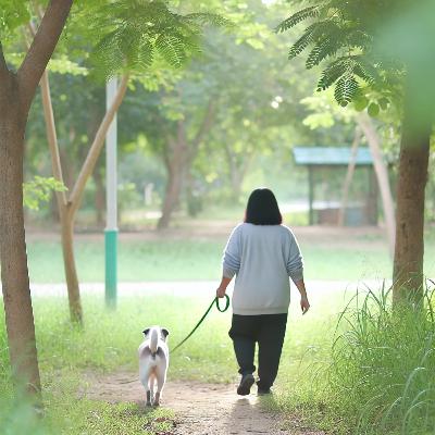 Man's Best Friend Evolved: How Dogs Changed with Us