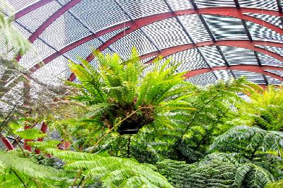 Sydney Royal Botanic Gardens Podcast Part 3