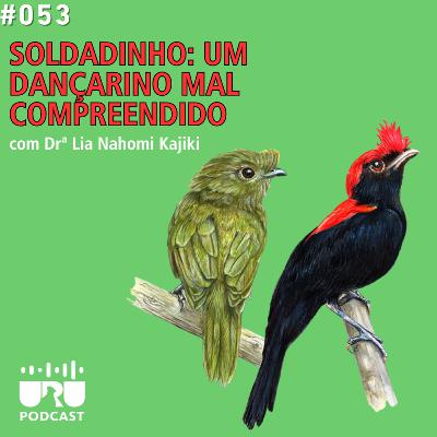 #053 - Soldadinho: um dançarino mal compreendido