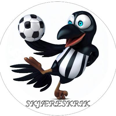 #23 - Pre season, og forventninger