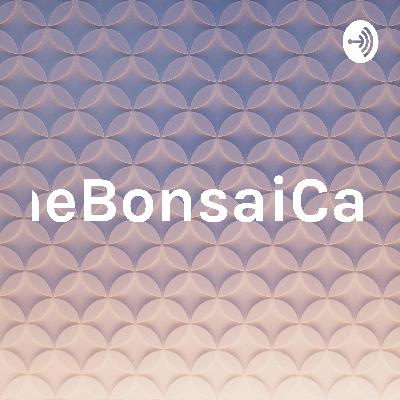 Podcast 1