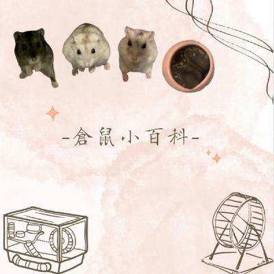 第一集 倉鼠品種