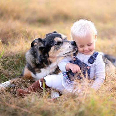 Cane e bambino