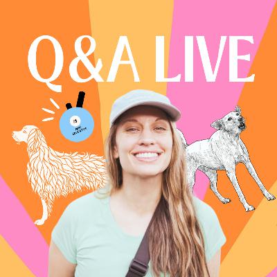 Q&A LIVE episode