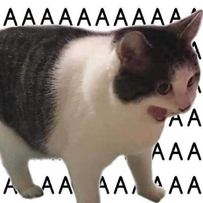 #09 Part 01 - Meme Kucing