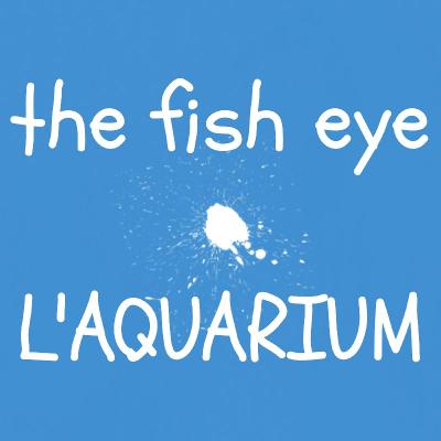 L'AQUARIUM #2 // Interview croisée des twittos Laurence David, KeoT et Caalfein