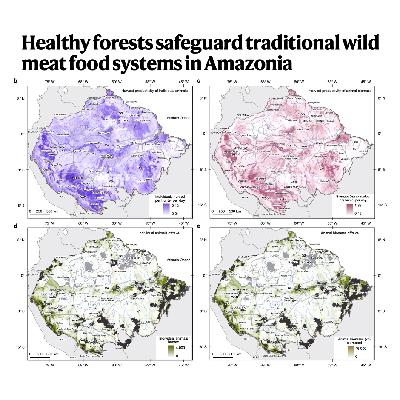 309-Amazonia's Wild Meat: Nutritional Lifeline and Decline 309-Amazonia's Wild Meat: Nutritional Lifeline and Decline